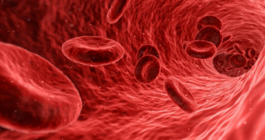 Pfizer apoia iniciativas independentes com bolsas de investigação na área da hemofilia